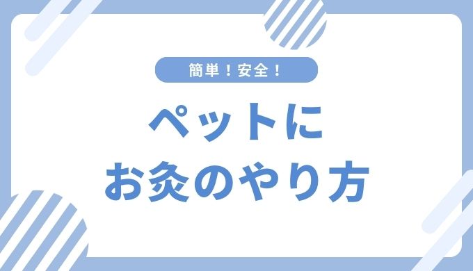 愛犬・愛猫ちゃんへ安全なお灸のやり方教えます | 鍼灸salonハリセラ